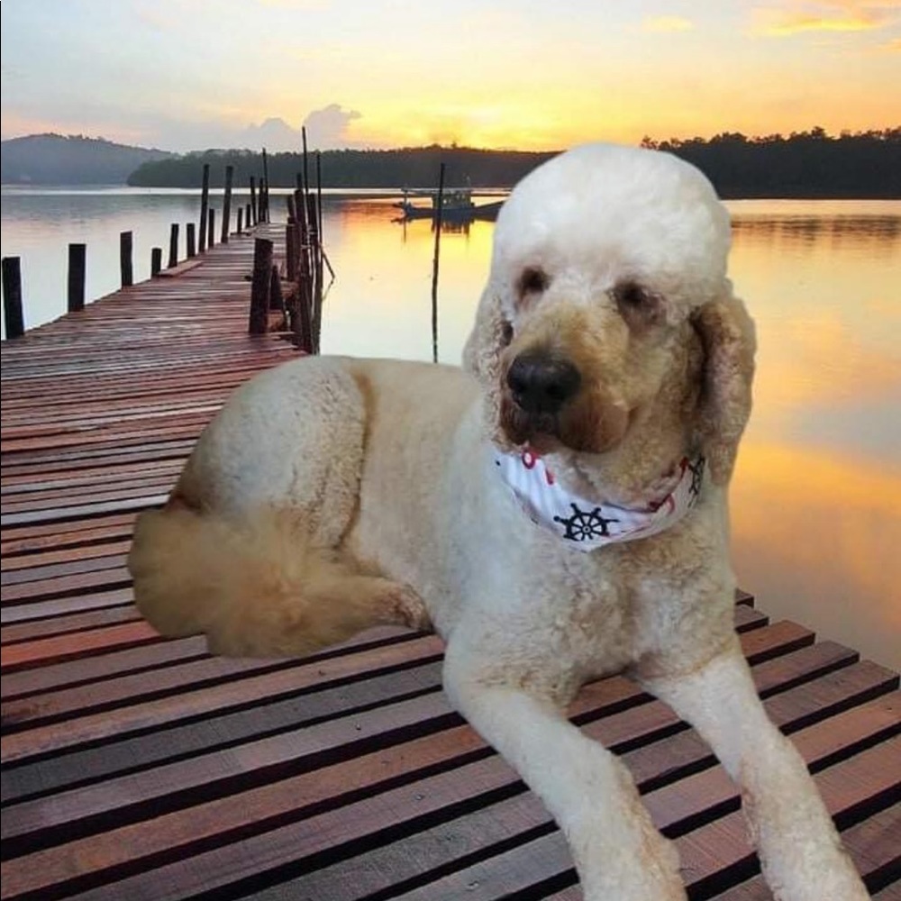 Meet your Posher, Brittany